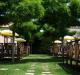 Camping Adriatico