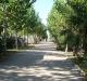 Centro Vacanze Molise